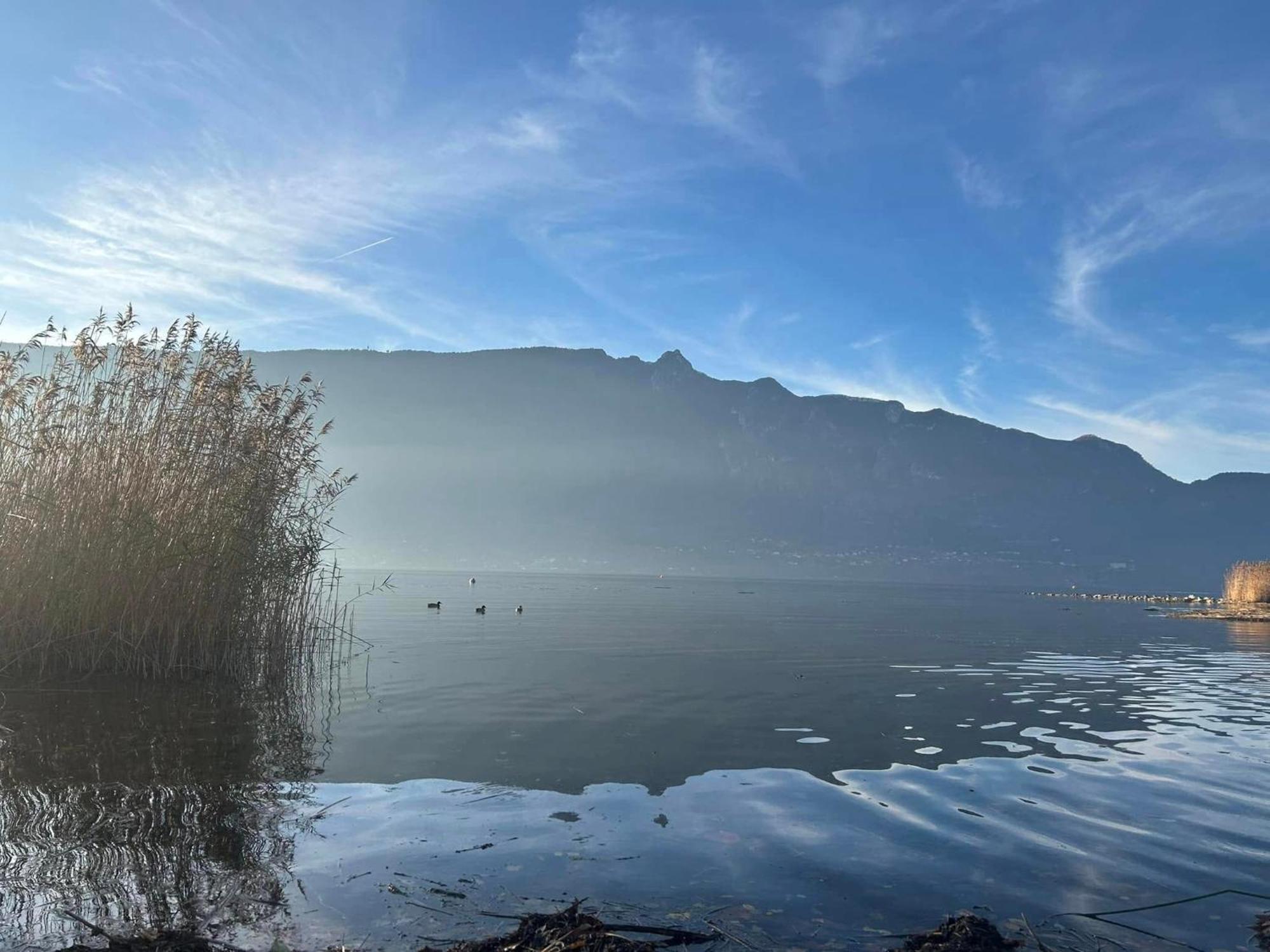 A La Marc'Quize Chambres D'Hotes, Petit Dejeuner Compris, Avec Piscine A Debordement En Exterieur, Bain Nordique A 38 Degres En Prestation Supplement Sur Reservation Horaire Anticipee 1 Place De Parking Gratuite Sur Place Mouxy Exteriör bild